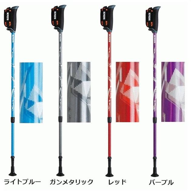 HATACHI（ハタチ） DFP プログレッシブズーム 2本1組 WH1120-19 ライト