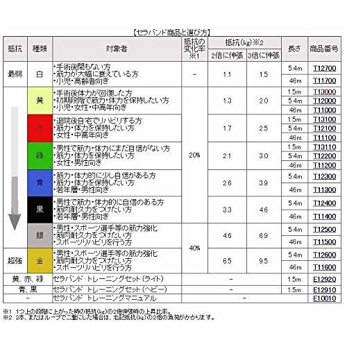 セラバンド ミニパック 1.5m （緑・中） T131-10 初めて試されたい方