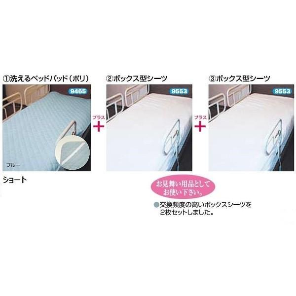 ウェルファン 床周り3点セットII ショート 洗えるベッドパット1枚＋ 