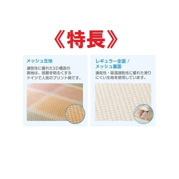 アルファプラ ウェルピー ブーメラン 小 メッシュタイプ タイカ PC-WM-B2 161-U0296の画像