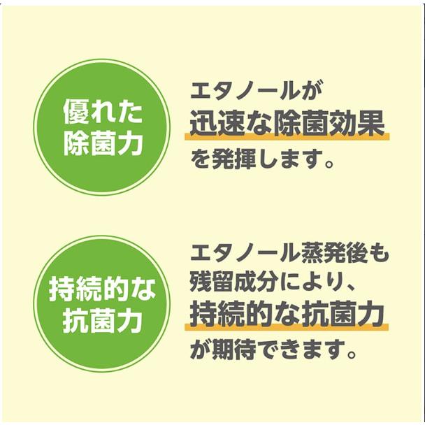サラヤ サポステ 500ml スプレー付 アルコール除菌剤 SARAYA 4987696415898/41589 | SARAYA | 05
