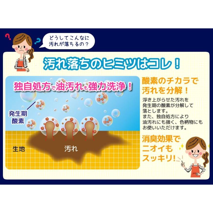 OXIWASH オキシウォッシュ 酸素系漂白剤 粉末タイプ 1kg/日本製/酵素パワー/漂白消臭除菌/4971902071114 | 紀陽除虫菊 | 02