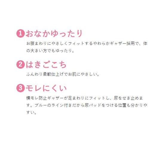 ご予約品 大きい人のはくパンツ リフレ 3l 14枚 8袋 2ケースセット販売 Aynaelda Com
