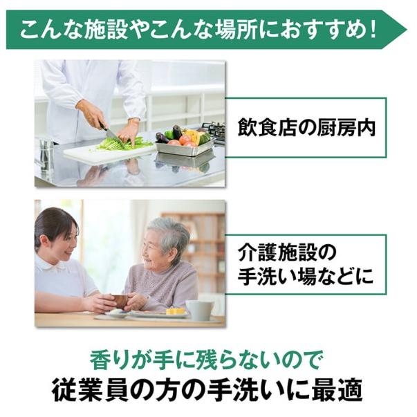 サラヤ シャボネットモイスト 泡ポンプ付 500ml×12本 ケース販売 手洗い石鹸 SARAYA 4987696232587/23258 | SARAYA | 05