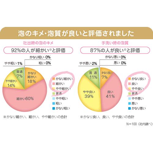サラヤ ホイップウォッシュ 無香 1kg 泡ポンプ付 SARAYA 手洗い用石けん液  薬用泡ハンドソープ 4987696234093/23409 | SARAYA | 03