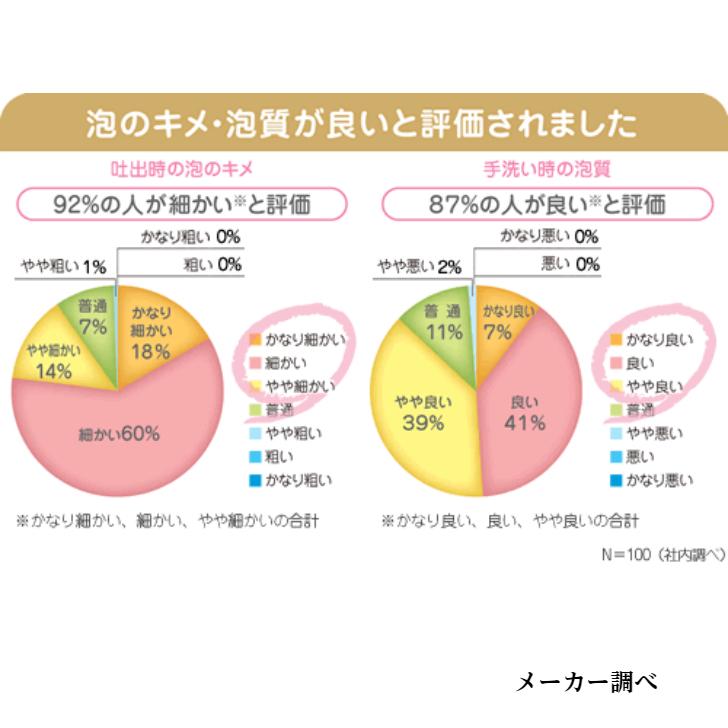 サラヤ ホイップウォッシュ 無香 500mL×12本 ケース販売  泡ポンプ付 減容ボトル SARAYA 4987696234062/23406 | SARAYA | 02