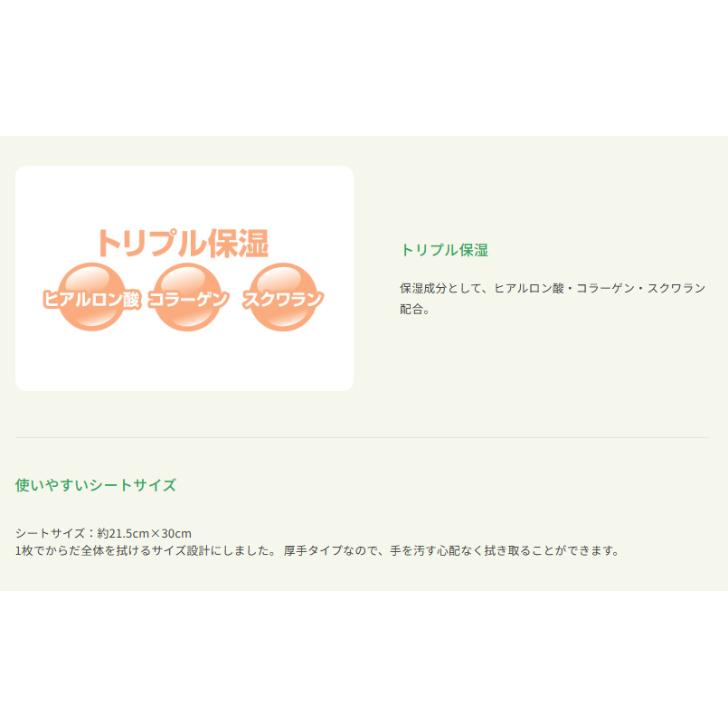 ネピアテンダー ぬれタオル 40枚入×12個 ケース販売 王子ネピア おしりふき おしりもからだも 日本製 4901121892108/89210 | 王子ネピア | 01