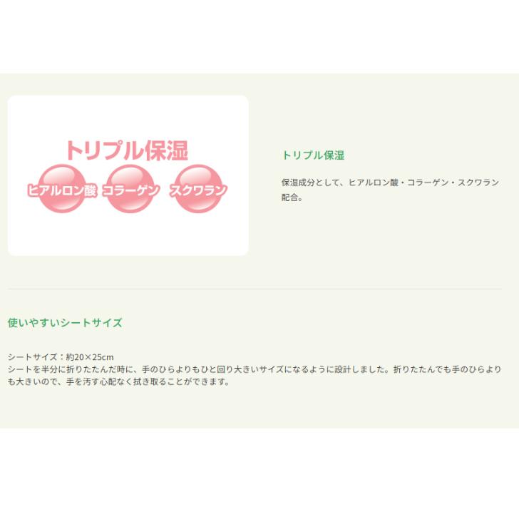 ネピアテンダーおしりふき　80枚入  王子ネピア なめらかメッシュシート 日本製 4901121892009/89200 | 王子ネピア | 01