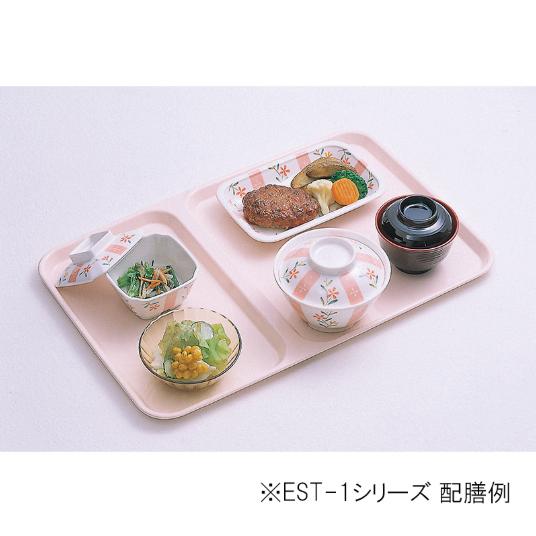 【在庫限りの特価販売】温冷配膳専用 レギュラートレイ EST-3 若草色 30枚 (セット販売) 業務用/トレー/施設用/病院用/EST3WK | ERECTA | 02