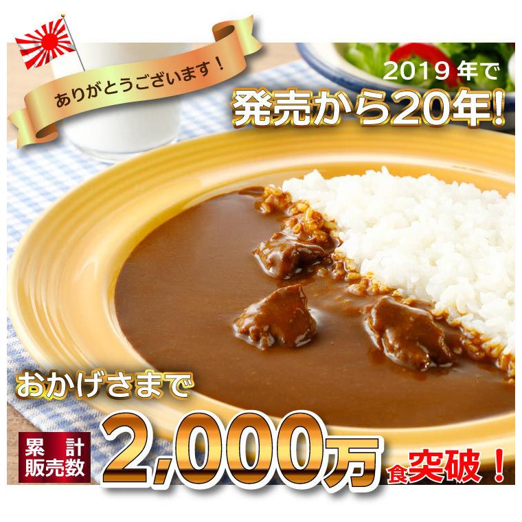 よこすか海軍カレー ネイビーブルー 2食入×20箱 レトルト 中辛 ビーフ