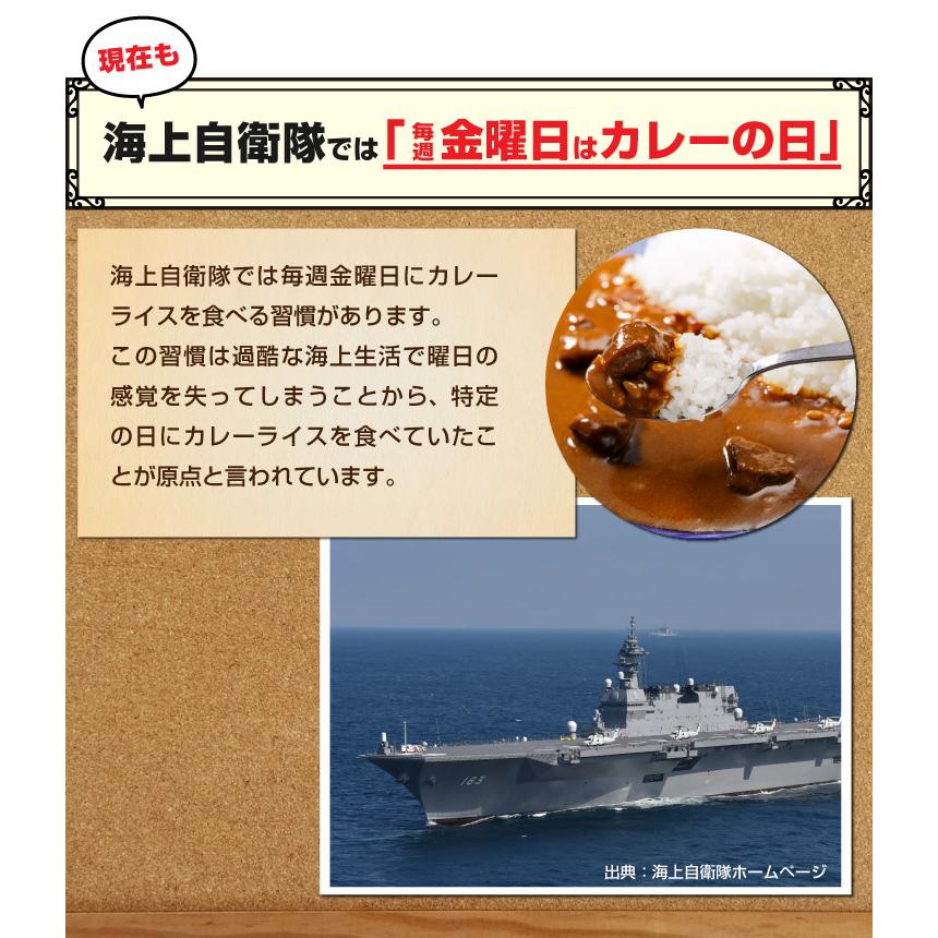 初回購入限定 調味商事 よこすか海軍カレー ネイビーブルー 180g 2食