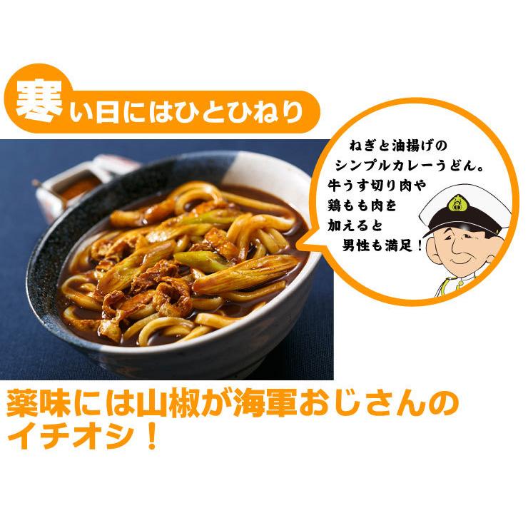 初回購入限定 調味商事 よこすか海軍カレー ネイビーブルー2食入 送料無料 中辛 カレー レトルト ご当地 お取り寄せグルメ インスタント｜kaigunsan｜10