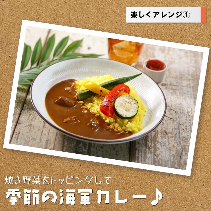 再再販 よこすか海軍カレー ネイビーブルー 7食 外箱なし 中辛 カレー レトルト ご当地 自宅用 備蓄 非常食 保存食 防災 Cisama Sc Gov Br