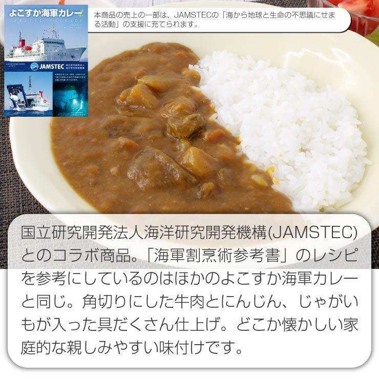 選べるセット ご当地グルメ詰め合わせ 中辛 カレー シチュー レトルトカレー 横須賀海軍カレー ご当地 お試し 試食 備蓄 非常食 保存食 防災｜kaigunsan｜11