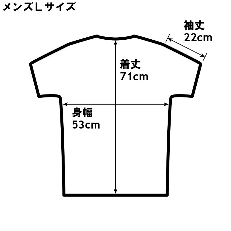 ドライメッシュTシャツ 南極人 半袖 南極観測船 しらせ AGB5003砕氷艦