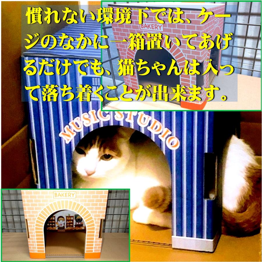 防災支援！ にゃんこトンネルシェルター×4種類セット 猫 キャットトンネル シェルター ダンボール キャットハウス 防災グッズ 遊び場 ハウス 安全｜kaihatsushigyo｜19