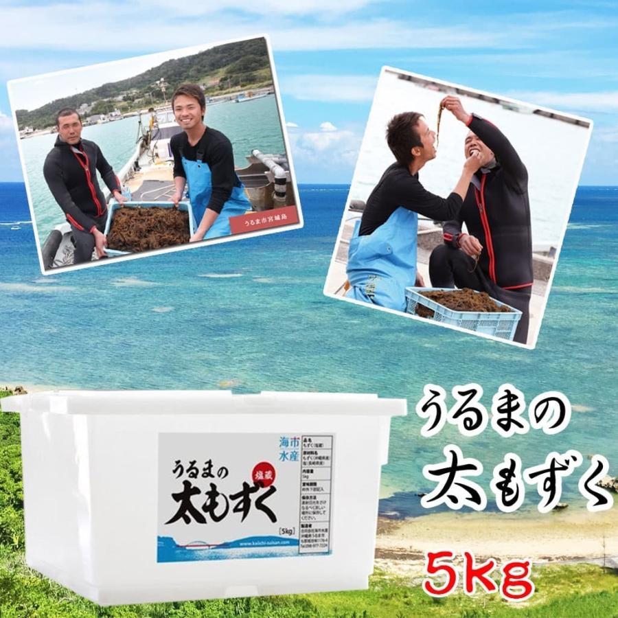 もずく 沖縄 うるまの太もずく 5kg （塩蔵モズク） 海市水産 【沖縄特産品】 〜 ヘルシー食材 〜 |  | 09