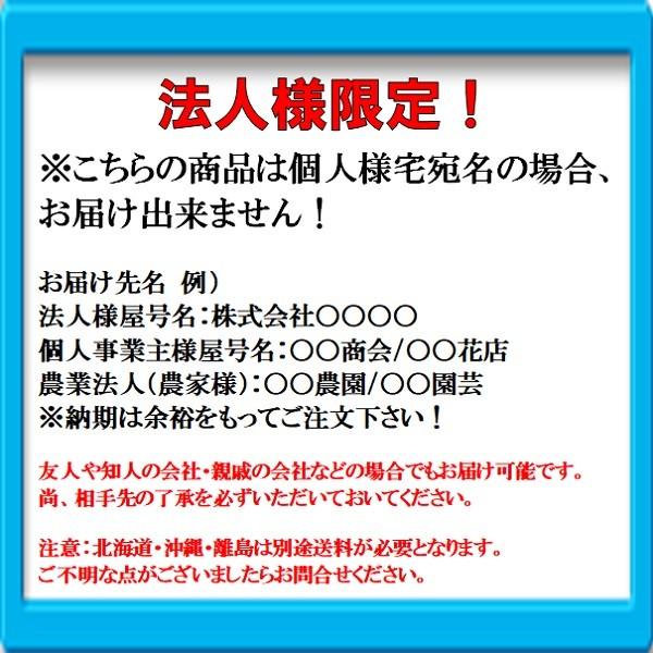 法人様限定　タイガー　ガイシ付支柱　北海道・沖縄・離島出荷不可　20本×2束　Φ20mm×長さ125cm　FRPロング　アニマルポール　地上高90ｃｍ　TBS-PF20125