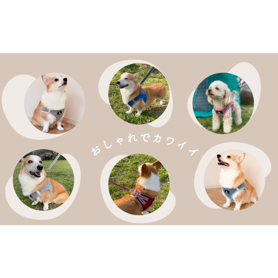 犬用ハーネスリードセット 多色 楽天市場】ハーネスリードセット 4color 胴輪 ハーネス 犬
