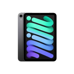 iPadmini6 2021秋 国内正規品 未開封 iPadmini6 2021秋 国内正規品 未開封