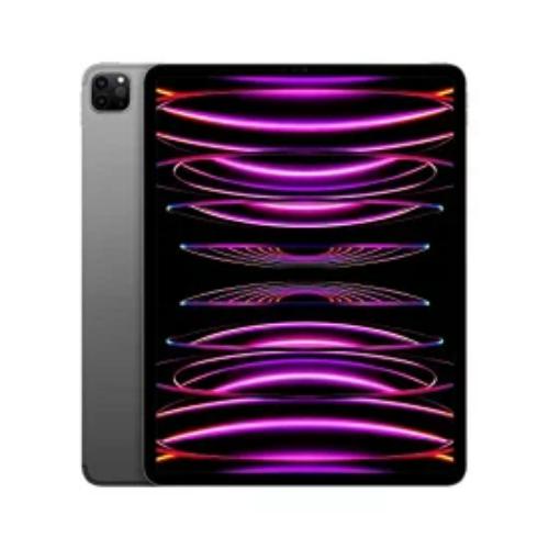 iPad Pro 12.9インチ 第6世代 Wi-Fi Cellular 256GB 2022年秋モデル MP203J/A SIMフリー [スペースグレイ] 買取価格比較