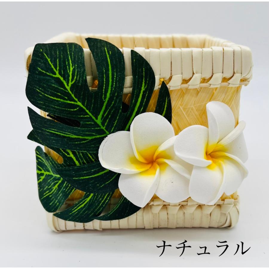 プルメリアハワイアン　ひょうたん製小物入れ　ハワイアン雑貨 ハワイアン Hawaiian バスケット 小物入れ 【プルメリア×モンステラ