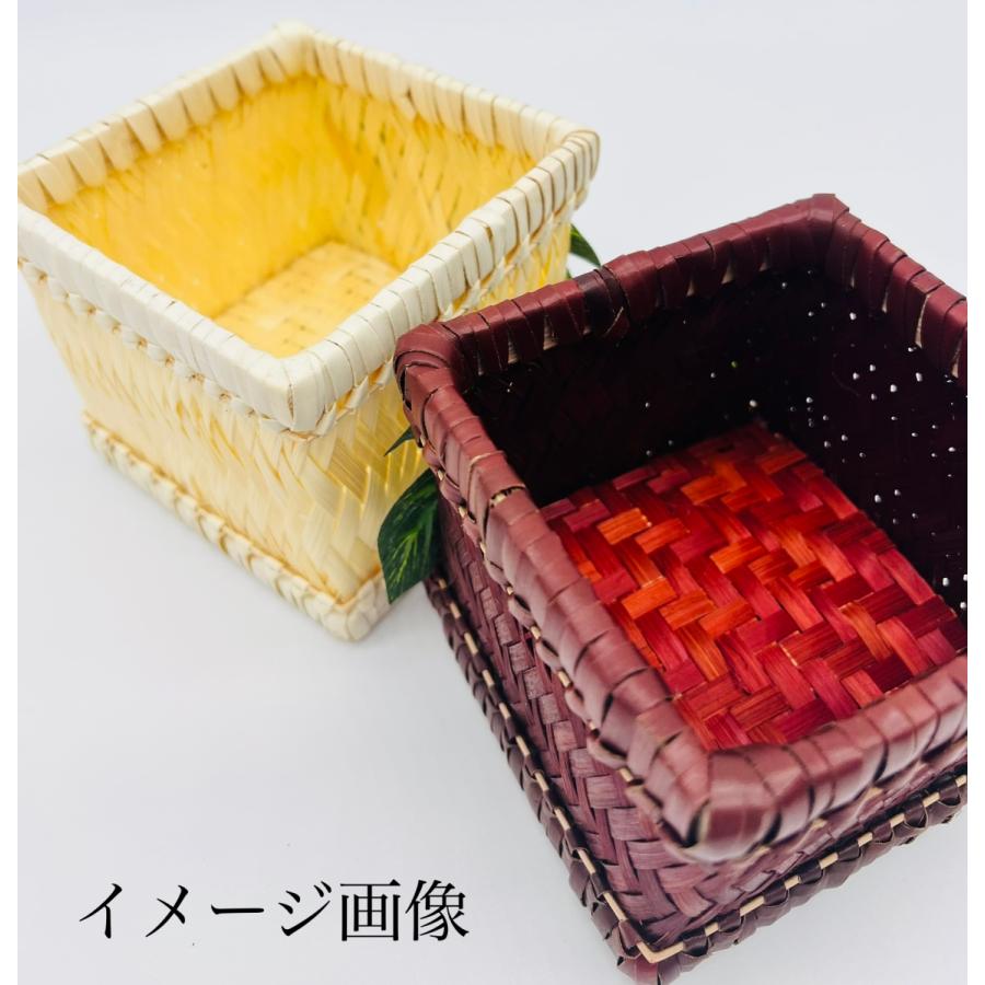 ハワイアン Hawaiian バスケット 小物入れ 【プルメリア×モンステラ
