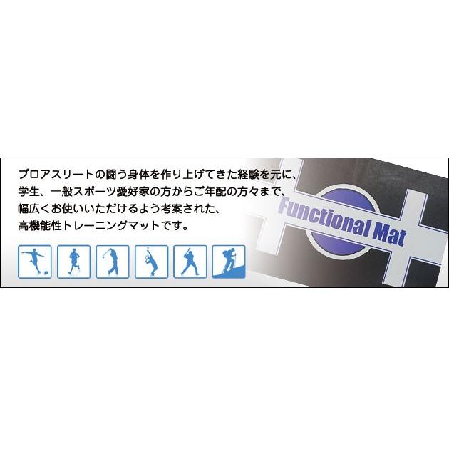 体幹トレーニング KOBA ファンクショナルマット 木場克己 【マニュアル付】コバトレ　コバマット