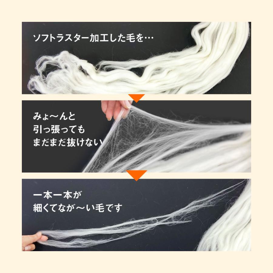 ディーブレス 毛布 The PREMIUM Sofwool 敷き毛布 クイーン 