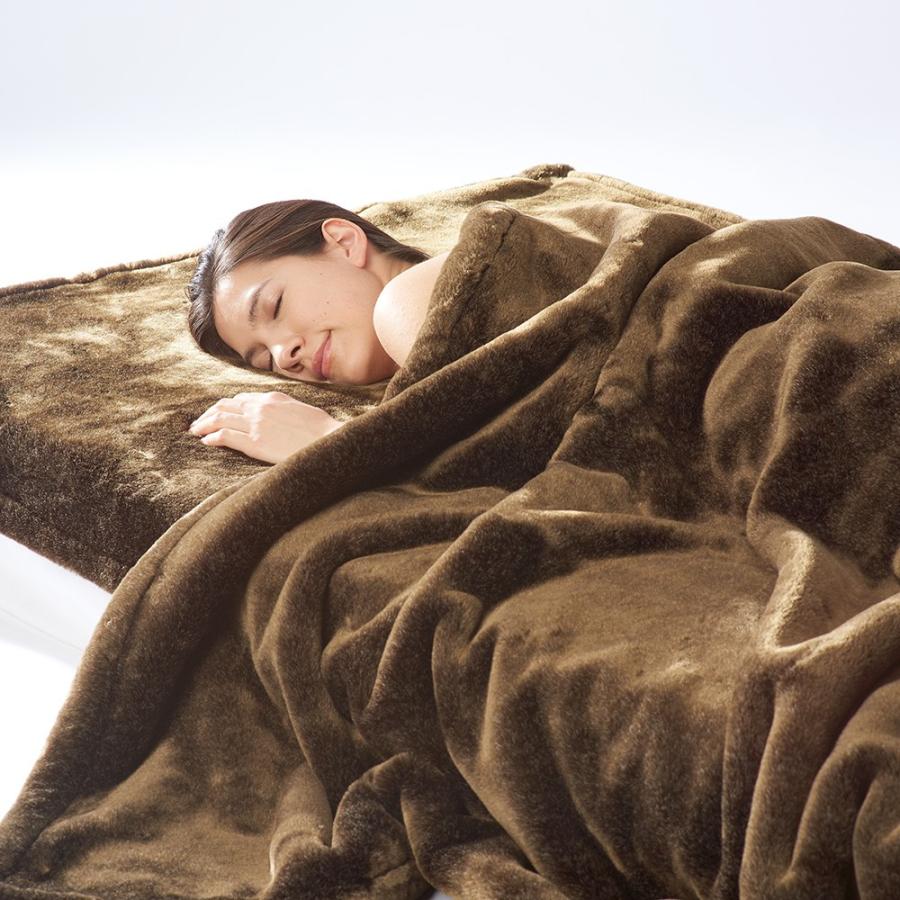 CALDO NIDO ELITE 掛け毛布 二枚合わせ シングル ブラウン