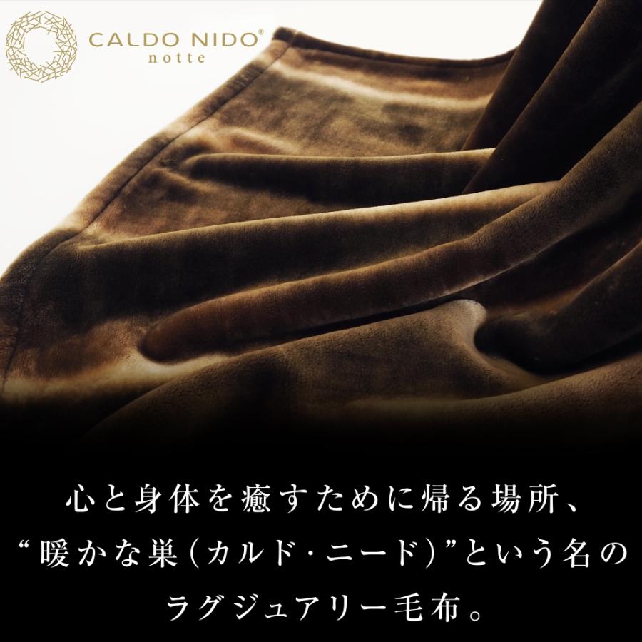 CALDO NIDO notte2 掛け毛布 ダブル ブラウン カルドニード ノッテ2 毛布 暖かい 軽い 洗える 日本製 もうふ おしゃれ 泉大津 毛布｜kaimin-hakase｜03