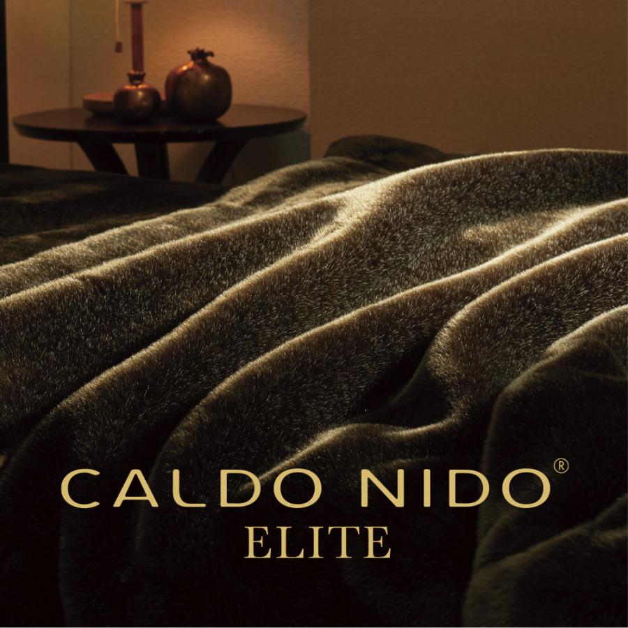 ディーブレス CALDO NIDO ELITE 2 敷き毛布 S(シングル ディーブレス CALDO NIDO ELITE 2 敷き毛布 S(シングル