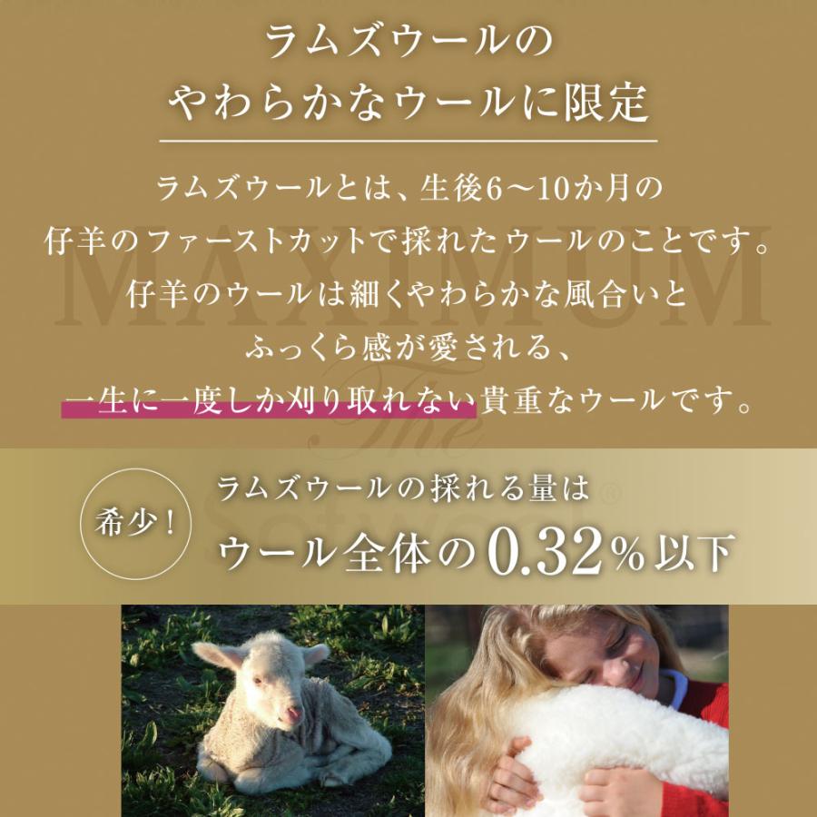 ディーブレス MAXIMUM The Sofwool 掛け毛布 S(シングル ディーブレス MAXIMUM The Sofwool 掛け毛布 S(シングル