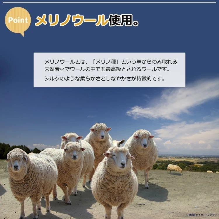 西川（nishikawa） 【日本製】京都西川 メリノウール毛布 DL 180×230cm 