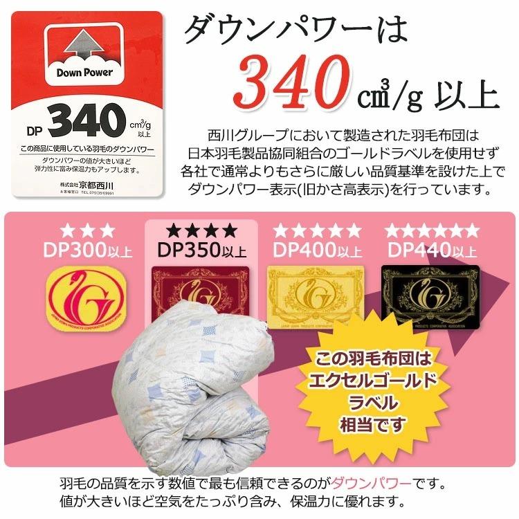西川（nishikawa） 【西川】羽毛布団 ダックダウン85％ 冬用羽毛
