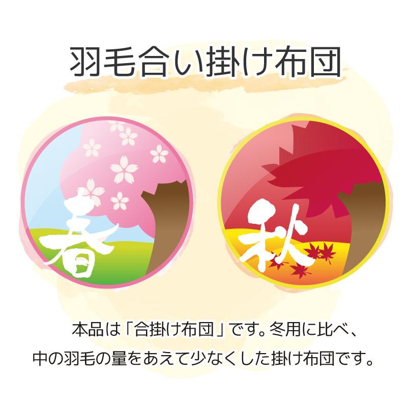 羽毛合い掛け布団 ホワイトマザーグースダウン93％ クイーンロング 210×210 ロイヤルゴールド DP420 ハンガリー産 ポーランド産 日本製 綿100％_1