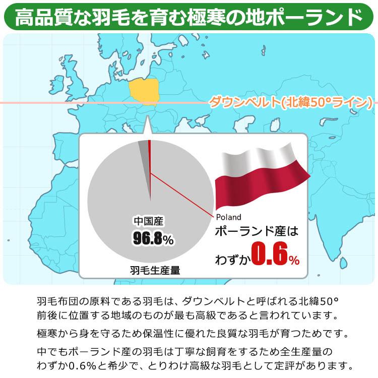 ポーランド産ホワイトダックダウン93％ 二枚合わせ 羽毛掛け布団 DL  日本製 ロイヤルゴールドラベル GFマーク 国内パワーアップ加工 殺菌・消臭・防カビ｜kaiminjapan｜06