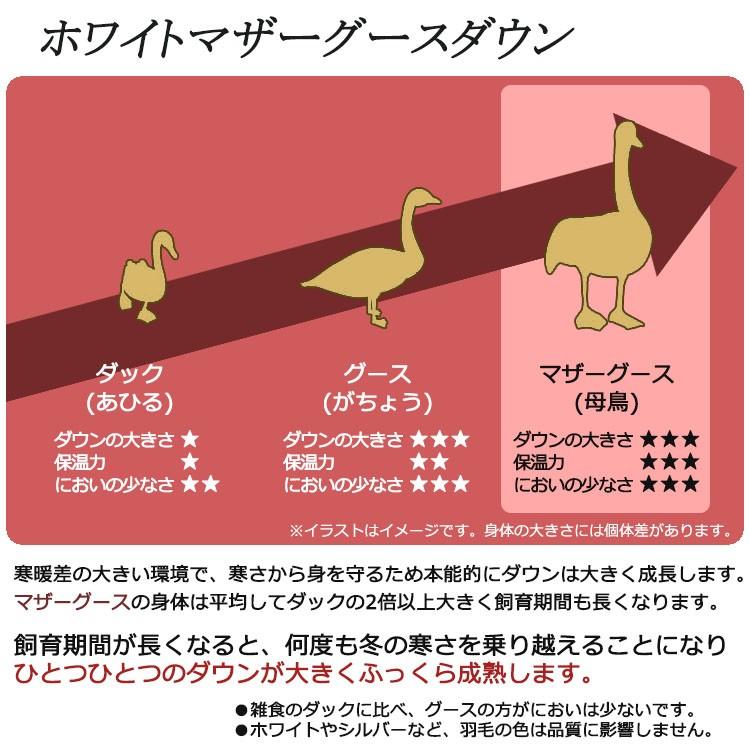 KENT HOUSE（ケントハウス） ハンガリー産ホワイトマザーグースダウン