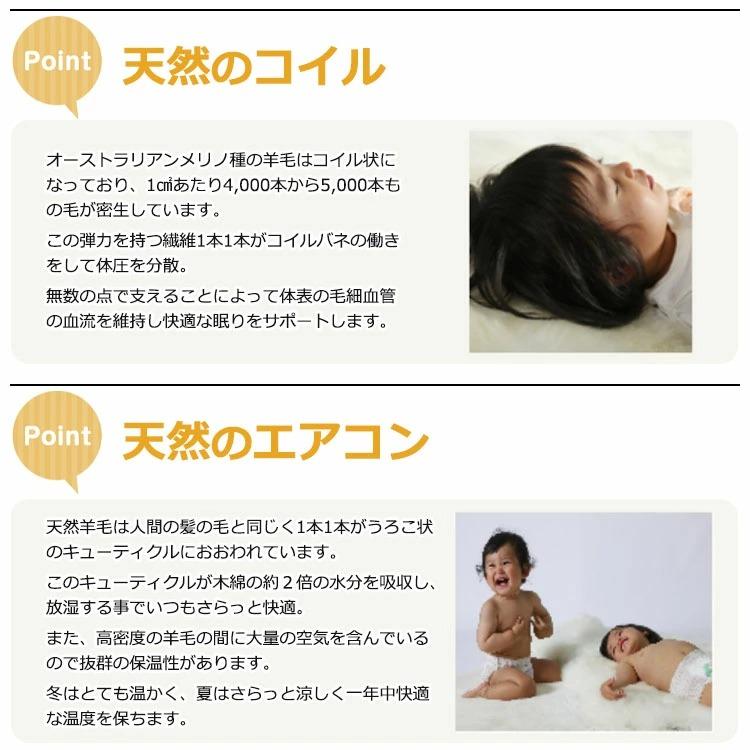 株式会社 舛田 日本製 ムートン ラグ 1匹物 パイル長さ28ｍｍ 約65×95cm スプリング ラム オーストラリア産原皮使用   燃えにくい 汚れにくい 抗菌 防臭の画像