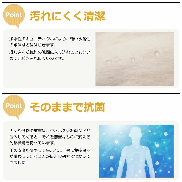 株式会社 舛田 日本製 ムートン ラグ 1匹物 パイル長さ28ｍｍ 約65×95cm スプリング ラム オーストラリア産原皮使用   燃えにくい 汚れにくい 抗菌 防臭の画像