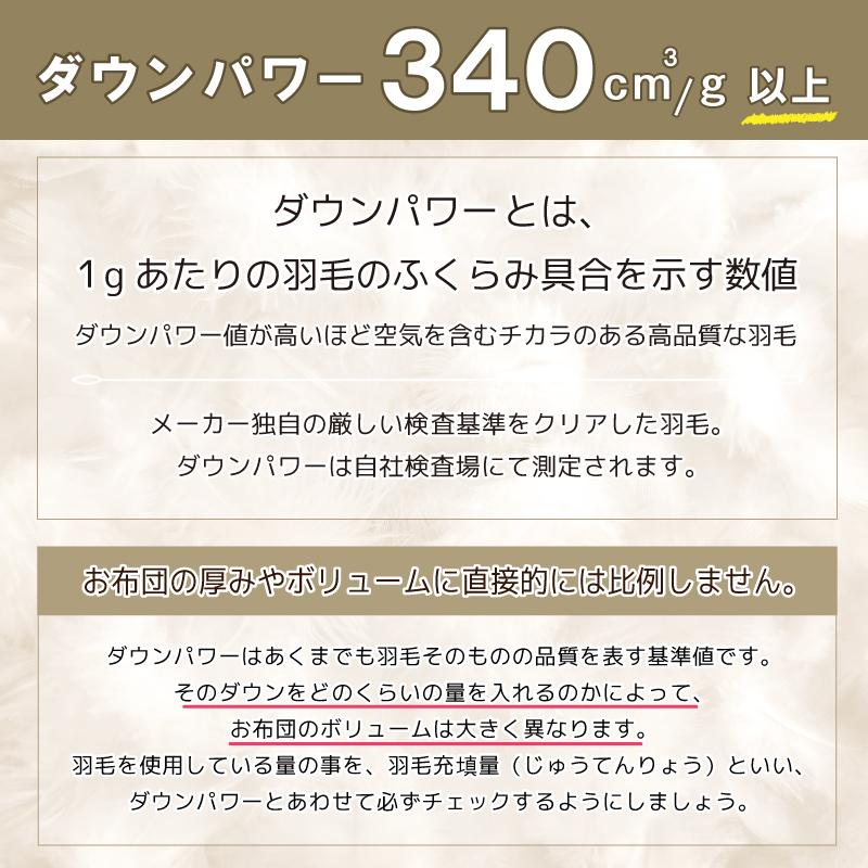 羽毛合掛け布団 ホワイトダックダウン85％ シングルロング DP340 日本