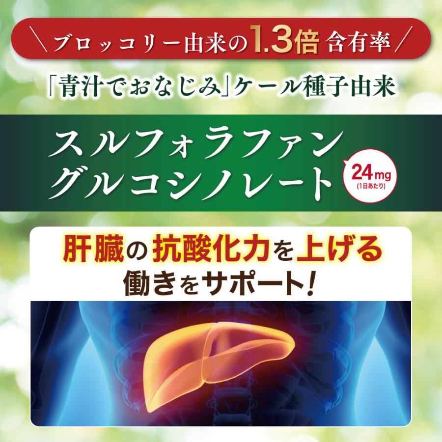 【6袋55%OFF】スルフォラリズム 機能性表示食品 スルフォラファン サプリメント 中高年の高めの肝臓ケア(ALT値) コレステロール 血圧 ストレス 疲労感 6袋(60粒)の画像