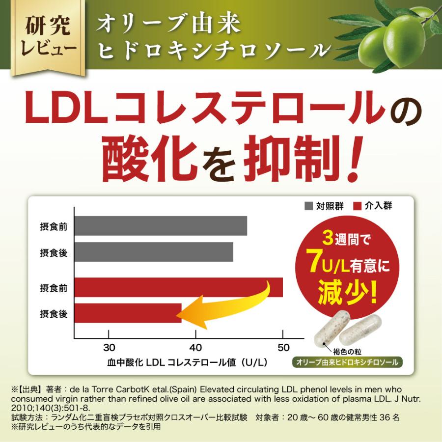 【6袋55%OFF】スルフォラリズム 機能性表示食品 スルフォラファン サプリメント 中高年の高めの肝臓ケア(ALT値) コレステロール 血圧 ストレス 疲労感 6袋(60粒)の画像