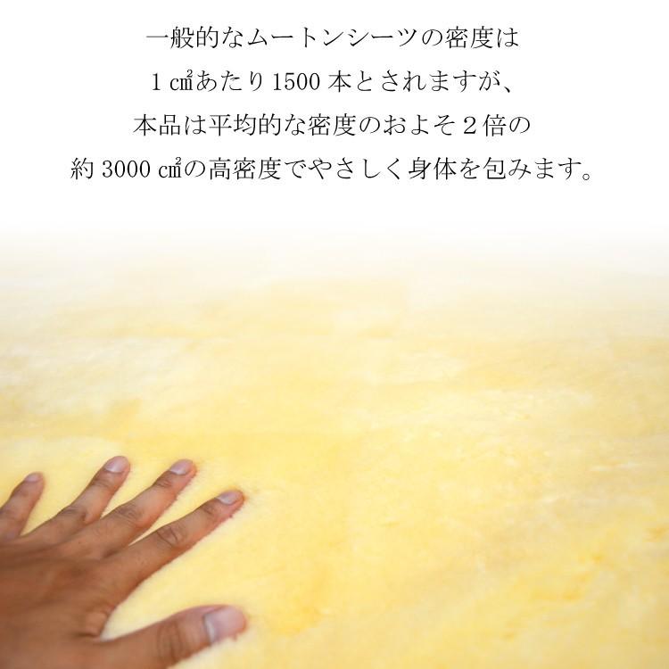 ムートンシーツ ダブル お手入れブラシ付き メディカル オーストラリア