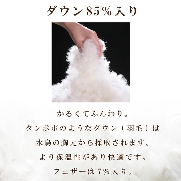 羽毛合い掛け布団 日本製 ダウン 85% 0.6キロ 600g入り シングル ロング 150×210 合掛け 羽毛 肌 布団 DP300以上｜kaimintengoku｜03