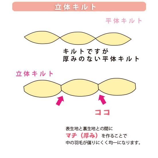 羽毛合い掛け布団 日本製 ダウン 85% 0.6キロ 600g入り シングル ロング 150×210 合掛け 羽毛 肌 布団 DP300以上｜kaimintengoku｜04