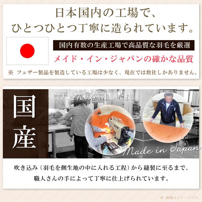 抗菌防臭加工無料 50×50cm フェザー100％ ヌードクッション 綿100