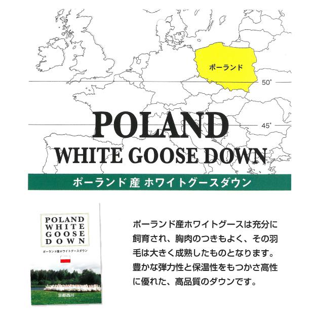 西川（nishikawa） ローズ 羽毛合掛け布団 セミダブル ポーランド産