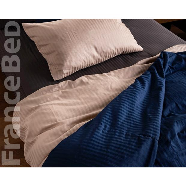 フランスベッド（FRANCEBED） 掛けカバー Line&Earth クイーンロング