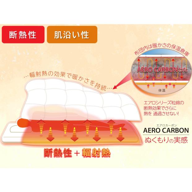 抗菌防臭加工無料 掛け布団 温泉気分なふとん ダブルロングサイズ 遠